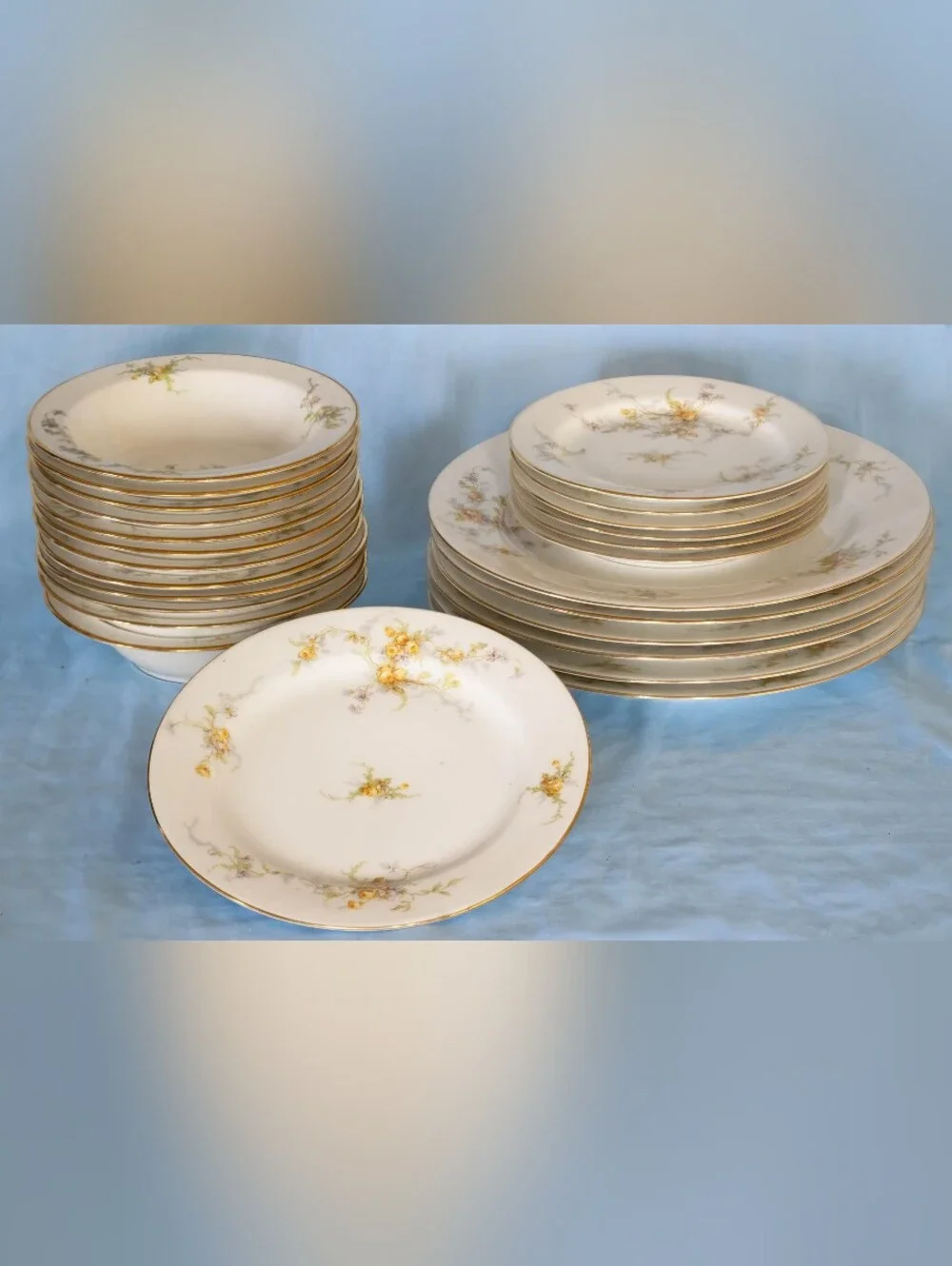 Beautiful Antique Elite Works Limoges France LIM48 Yellow Rose Dinnerware Set